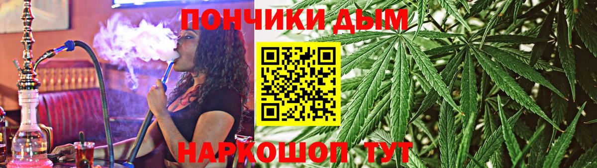 Каннабис гибрид Губкин